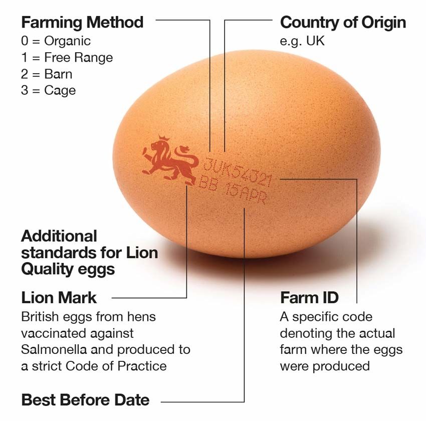 The red lion egg stamp explanation
