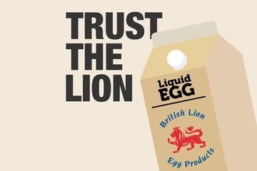 Trust the Lion image